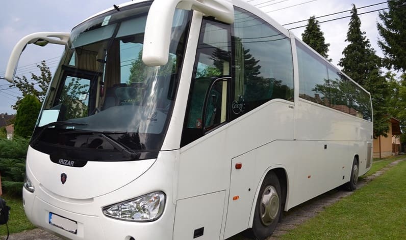 Lazio: Buses rental in Velletri in Velletri and Italy